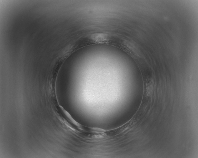 X0000073420618200607281154