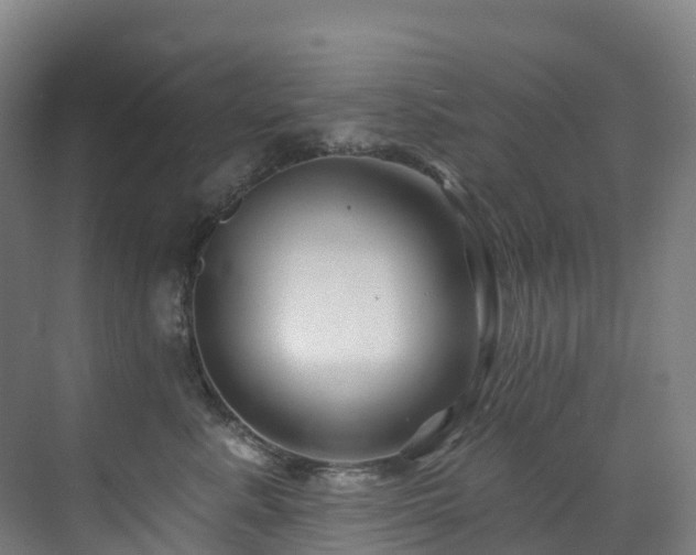 X0000073420619200607281154