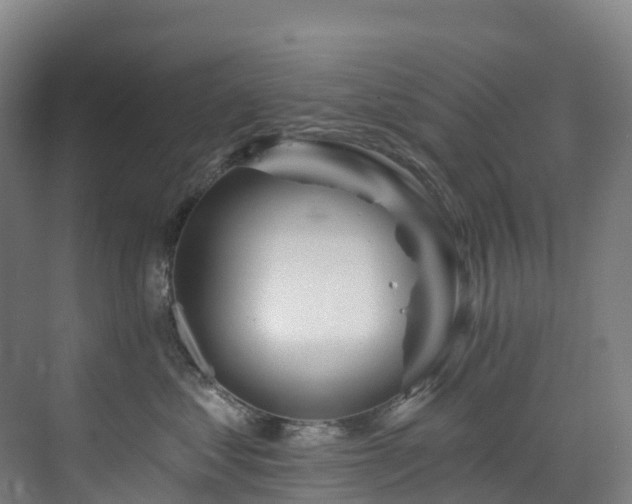 X0000073420621200607281154