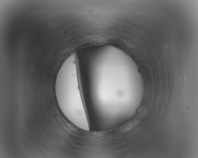 X0000073420624200607281154