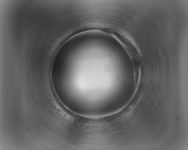 X0000073420625200607281153