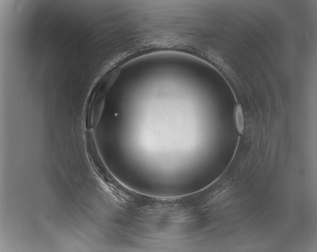 X0000073420626200607281153