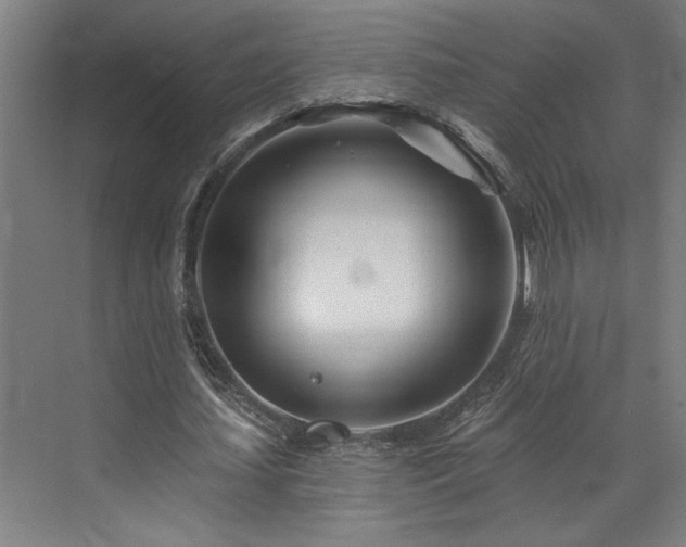 X0000073420627200607281153