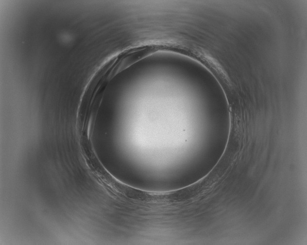 X0000073420628200607281153