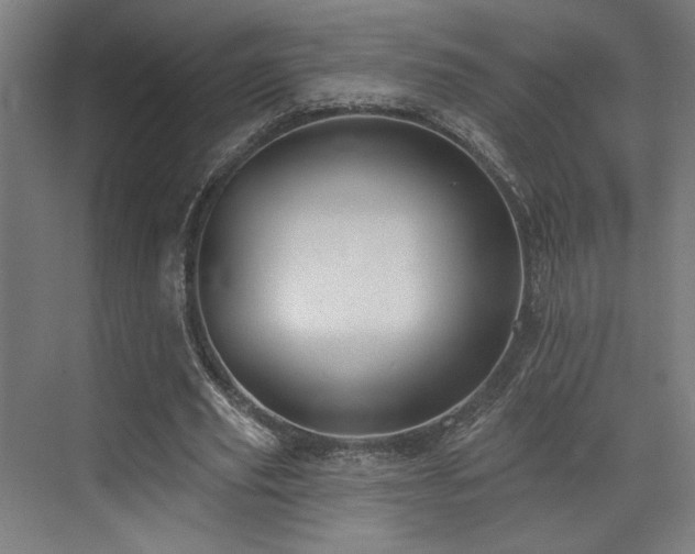 X0000073420629200607281153