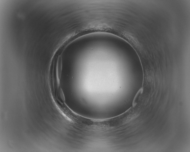 X0000073420630200607281153