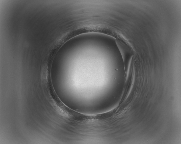 X0000073420637200607281153