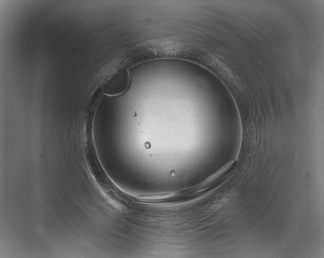 X0000073420638200607281153