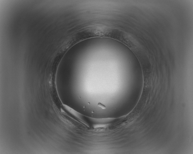 X0000073420646200607281153