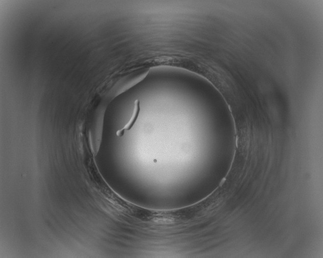 X0000073420653200607281153