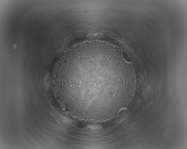 X0000073420659200607281154