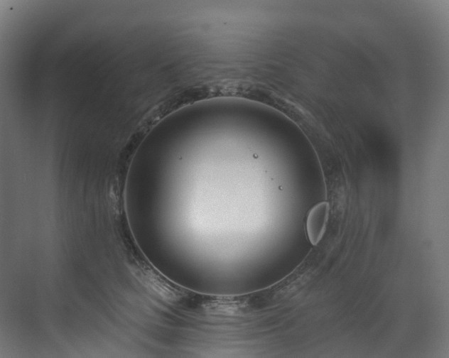 X0000073420661200607281154