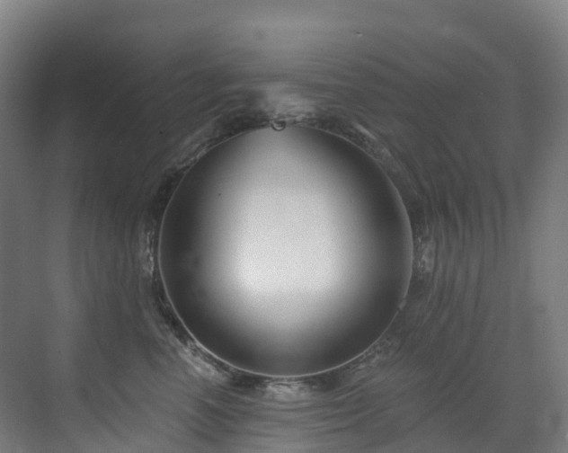 X0000073420666200607281154