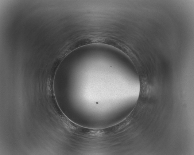 X0000073420667200607281154