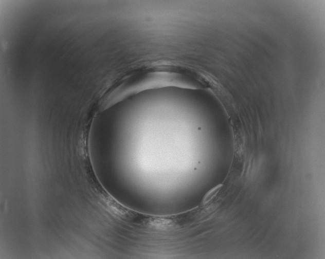 X0000073420669200607281154