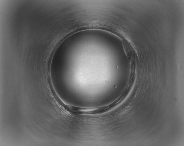 X0000073420673200607281153