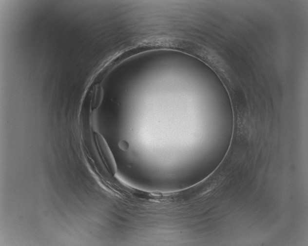 X0000073420674200607281153