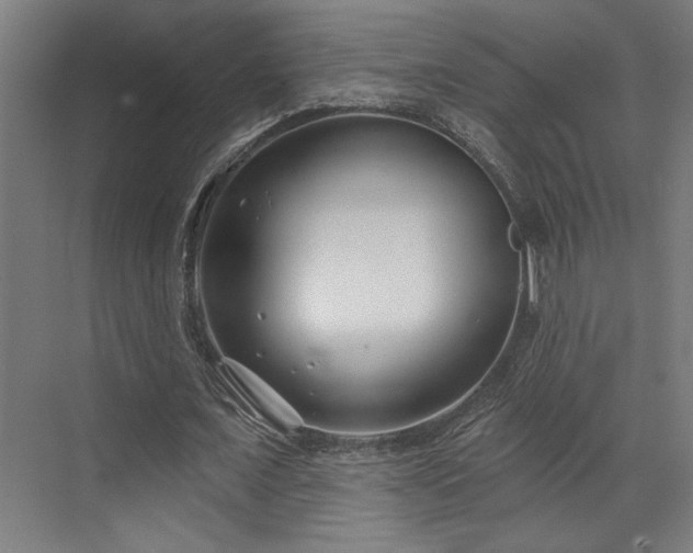 X0000073420675200607281153