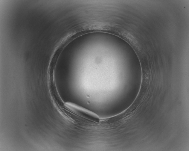 X0000073420678200607281153