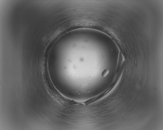 X0000073420679200607281153