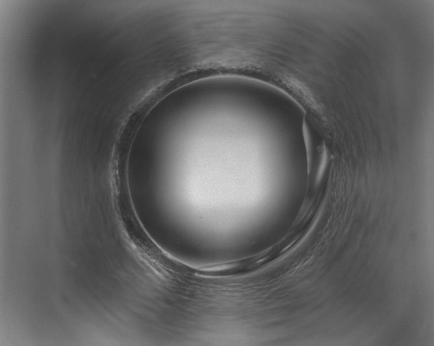 X0000073420680200607281153