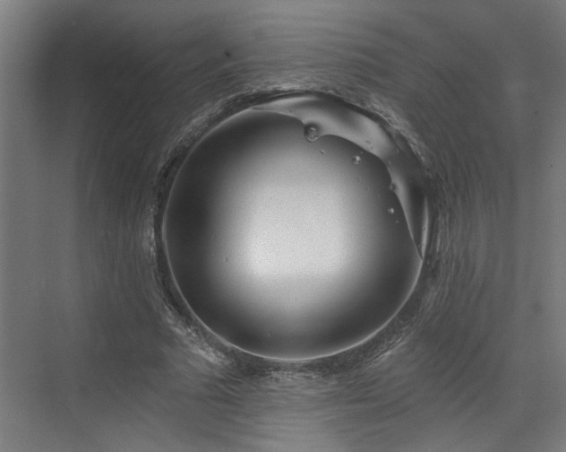 X0000073420681200607281153