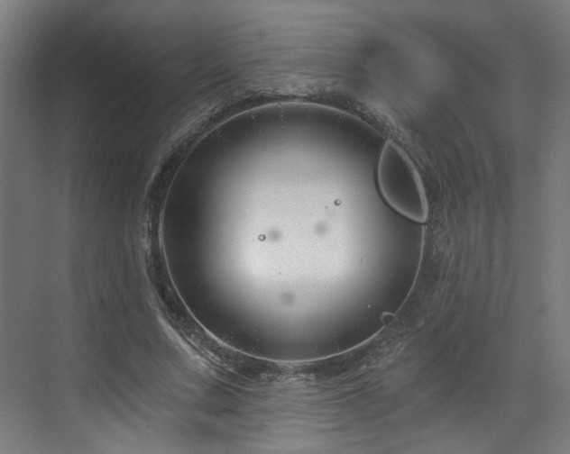 X0000073420683200607281153