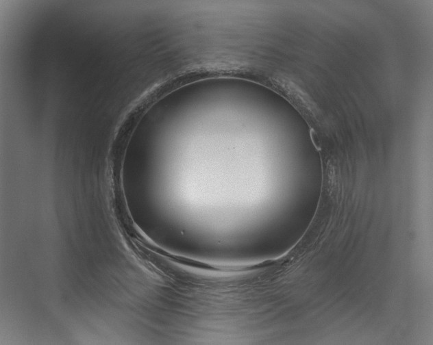 X0000073420684200607281153