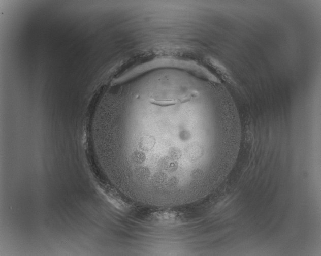 X0000073420687200607281153