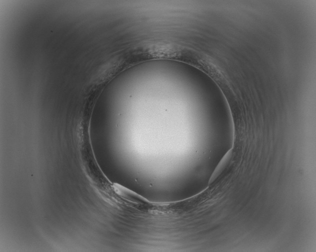 X0000073420690200607281153