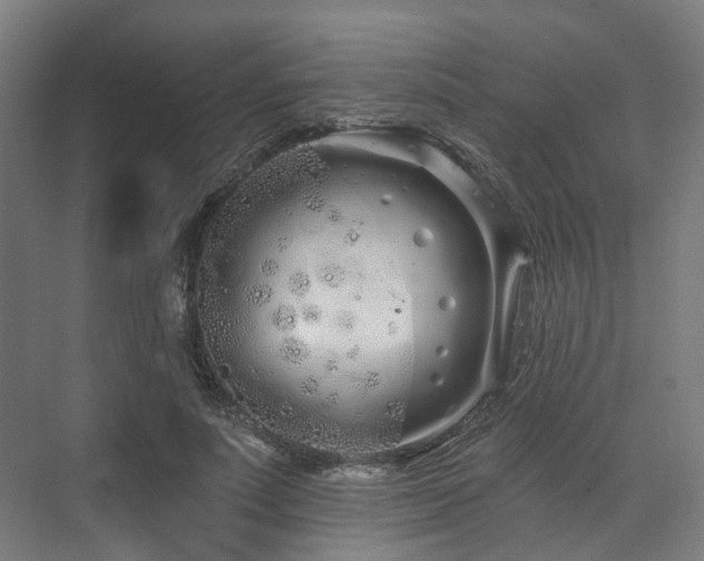 X0000073420691200607281153