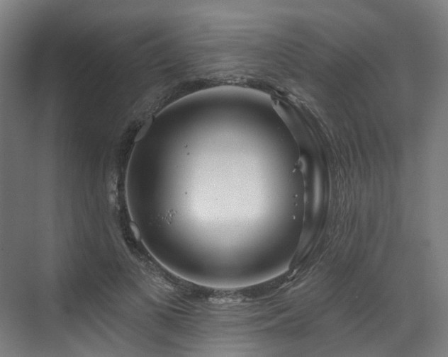 X0000073420693200607281153