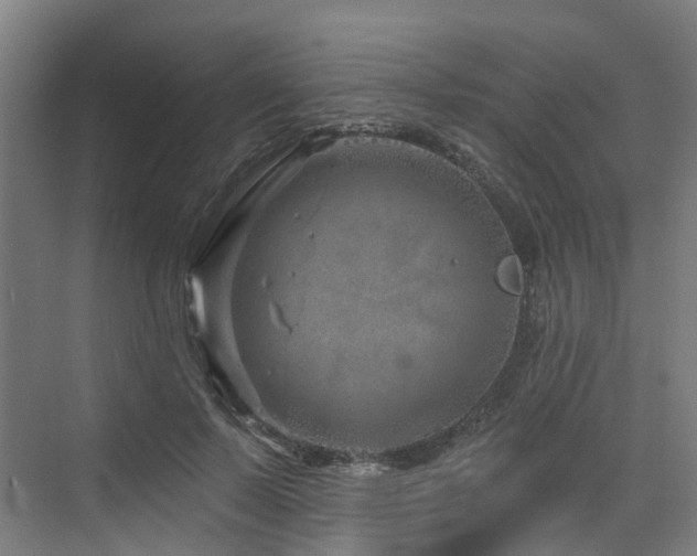 X0000073420695200607281153