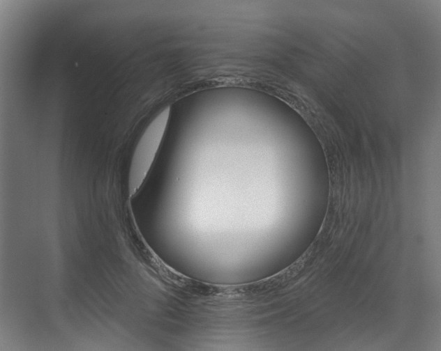 X0000073420696200607281153