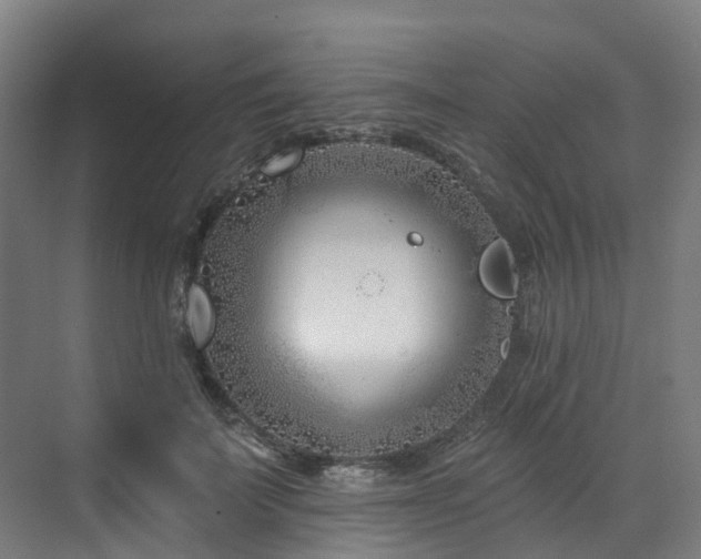 X0000073420699200607281153