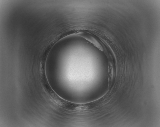 X0000073420700200607281153