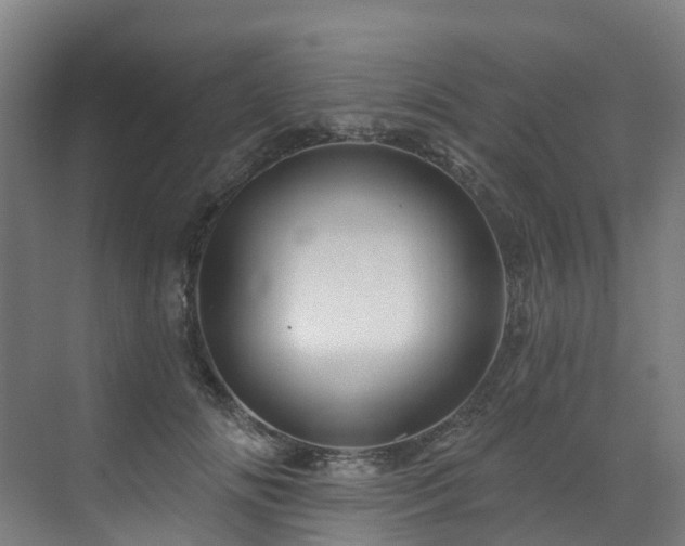 X0000073420702200607281153