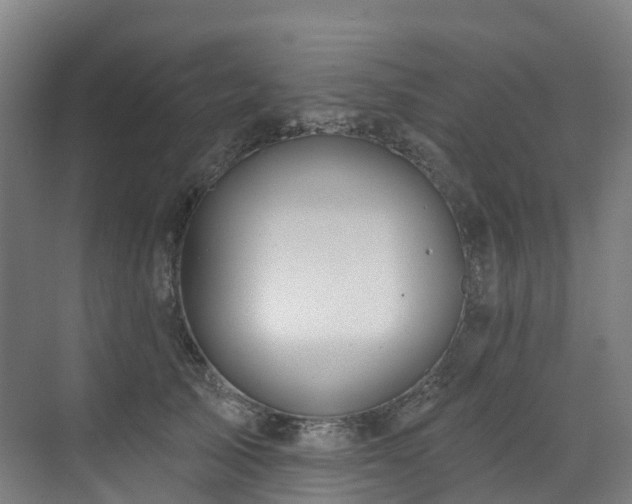 X0000073420705200607281152