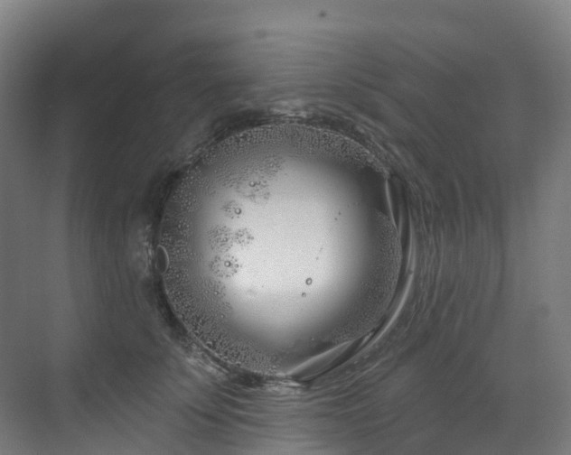 X0000073420707200607281152