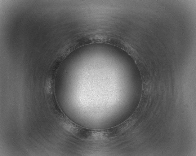 X0000073420709200607281152