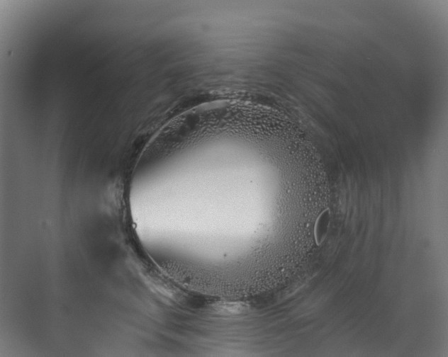 X0000073420711200607281152