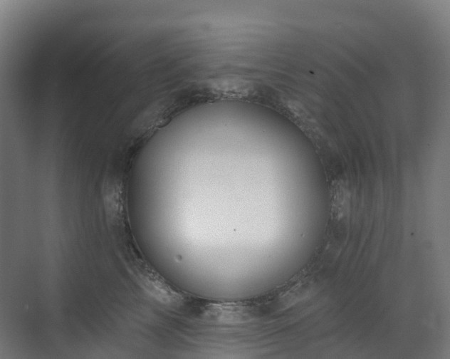 X0000073420713200607281152