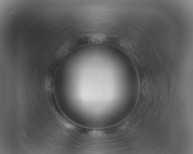 X0000073420714200607281152