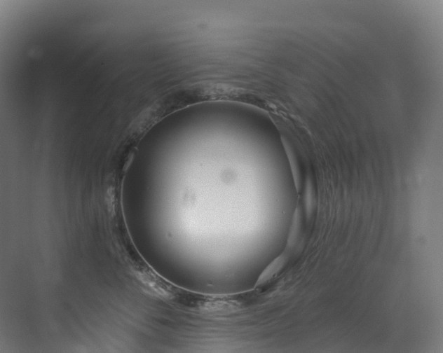 X0000073420716200607281152