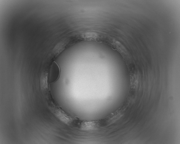 X0000073420717200607281152