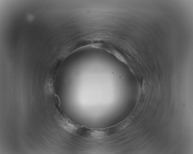 X0000073420718200607281152