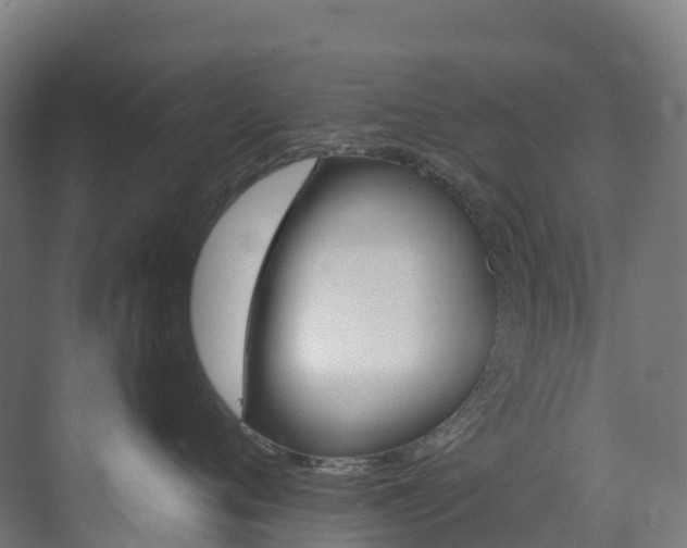 X0000073420720200607281152