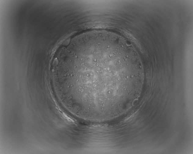 X0000073420721200607281151