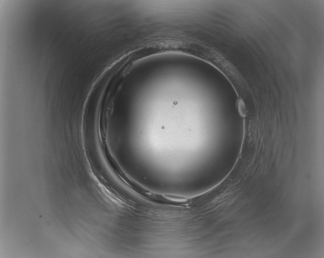 X0000073420722200607281151