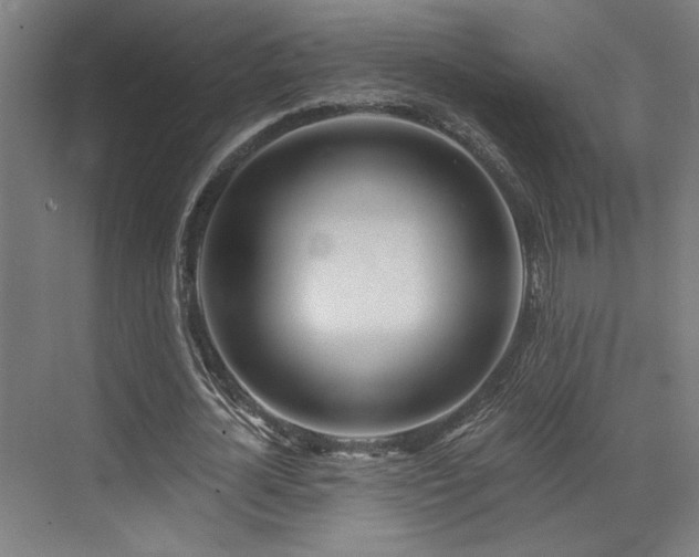 X0000073420724200607281151